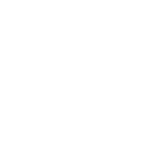 Webinar