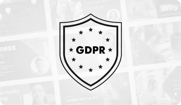 Vyond 2018 GDPR